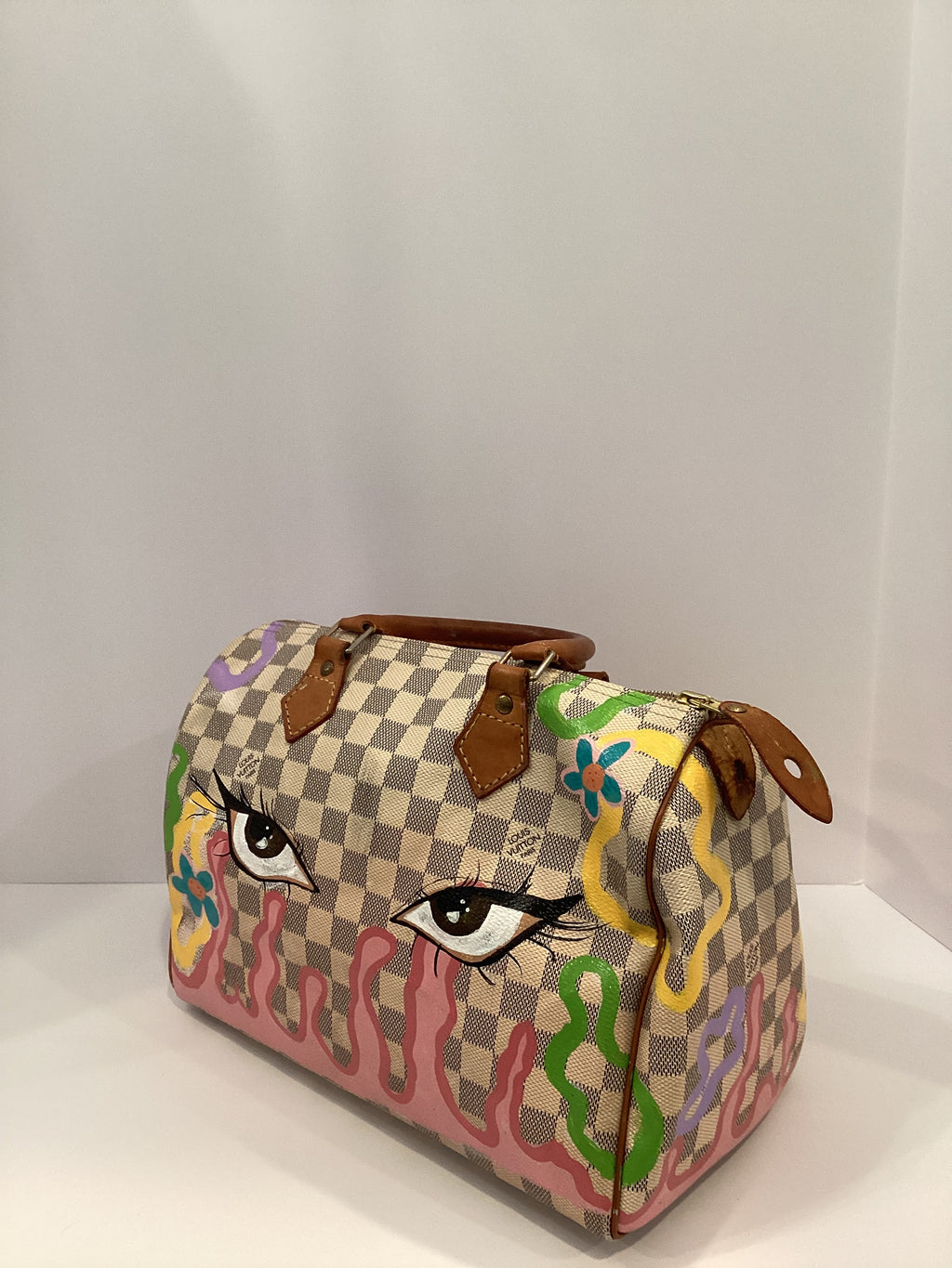 Louis Vuitton Monogram Speedy 30 (Custom Painting)