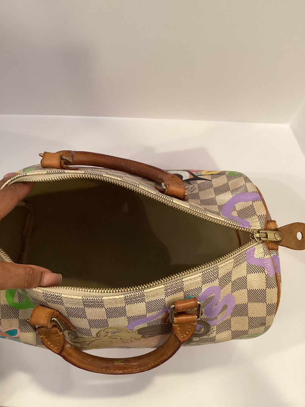 Louis Vuitton Monogram Speedy 30 (Custom Painting)
