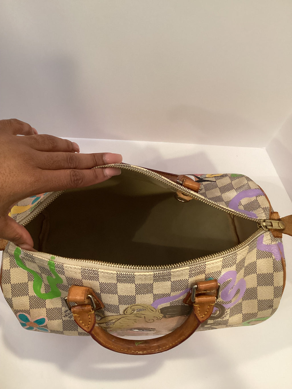 Louis Vuitton Monogram Speedy 30 (Custom Painting)