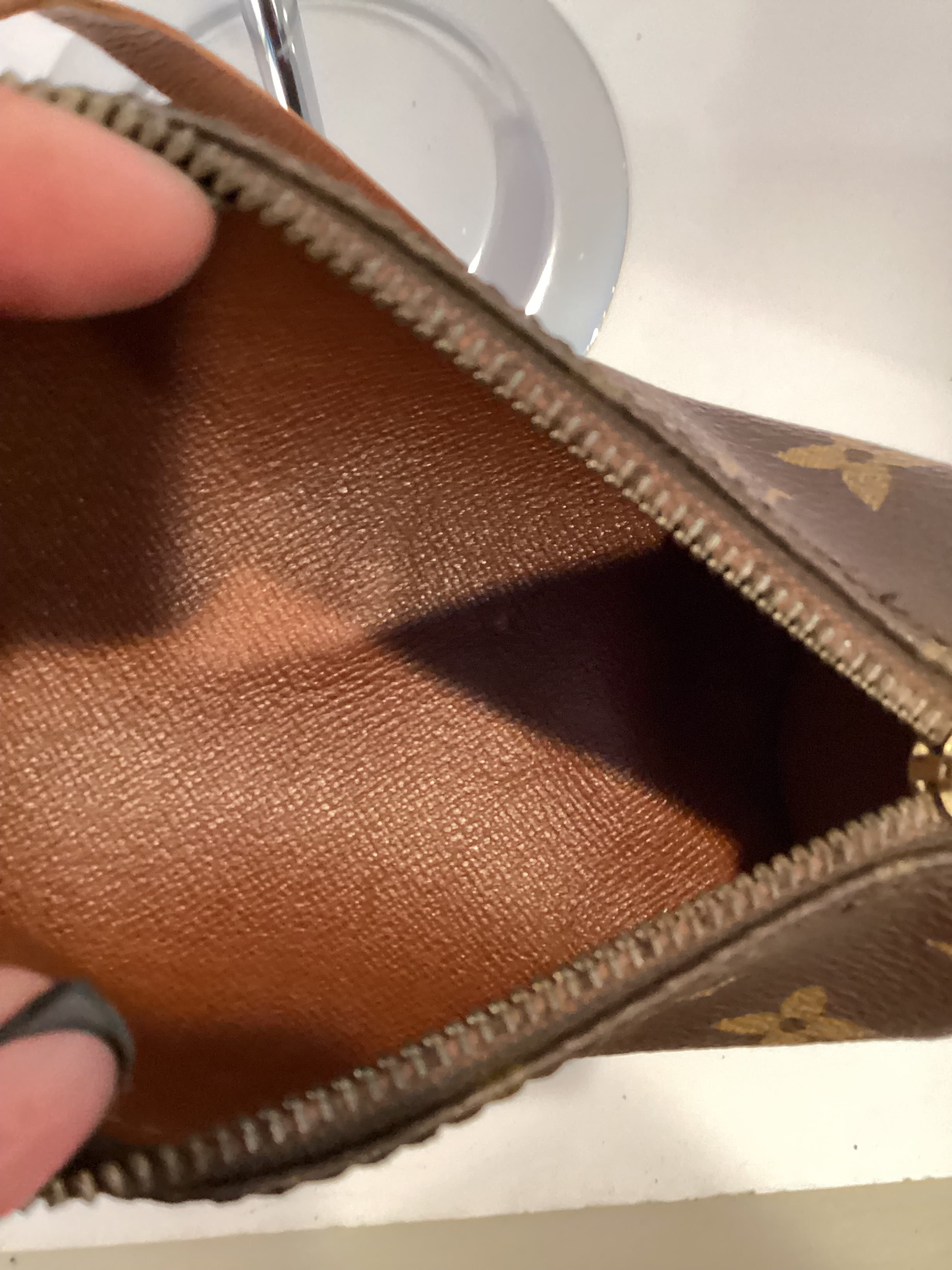 LOUIS VUITTON Monogram Papillon Pouch